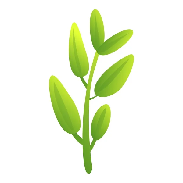 Eco Sage Ícone Cartoon Vector Planta Folhas Manjericão Aromático — Vetor de Stock