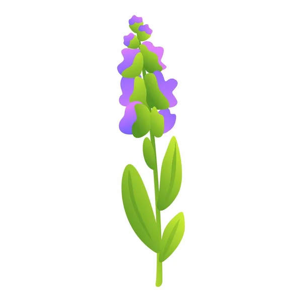 香料鼠尾草图标动画矢量 叶子植物 萨尔维亚香水 — 图库矢量图片