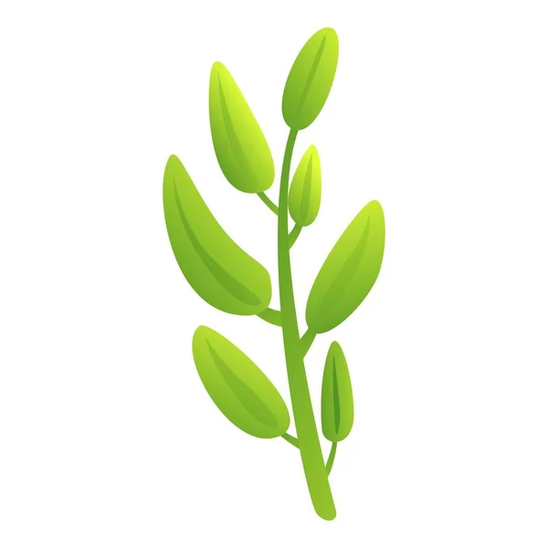 Zweig Salbei Symbol Cartoon Vektor Blattspflanze Minze Gewürz — Stockvektor