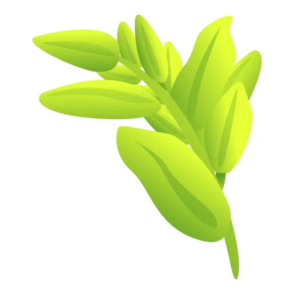 Verde Icono Salvia Vector Dibujos Animados Planta Hojas Albahaca — Vector de stock