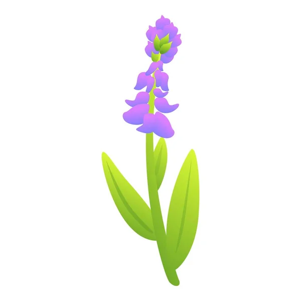 Salbeiblume Symbol Cartoon Vektor Blattspflanze Gewürzminze — Stockvektor