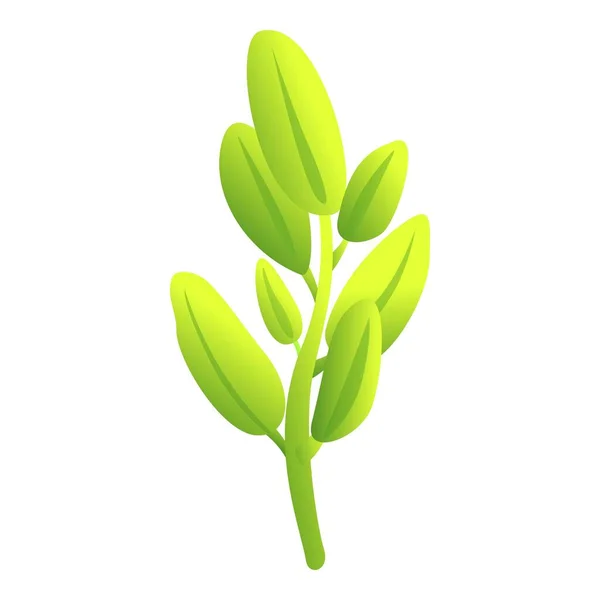 Planta Salvia Icono Vector Dibujos Animados Hoja Hierba Verde Aromático — Vector de stock