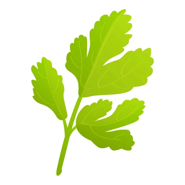 Perejil Hierba Icono Vector Dibujos Animados Planta Fresca Vitamina Verde — Vector de stock