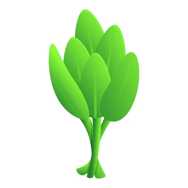 セージ葉のアイコン漫画ベクトル ハーブ植物 芳香のある緑 — ストックベクタ
