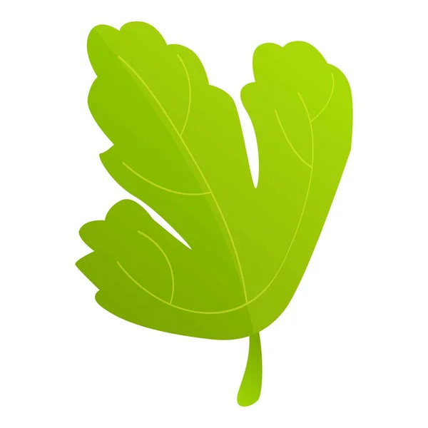 欧芹叶子图标动画矢量 草本植物 新鲜食品 — 图库矢量图片
