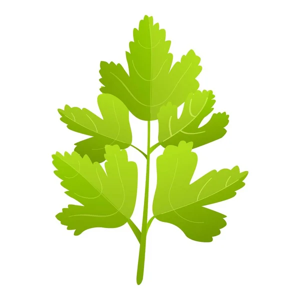 Garnieren Petersilie Symbol Cartoon Vektor Blattspflanze Bio Kochen — Stockvektor