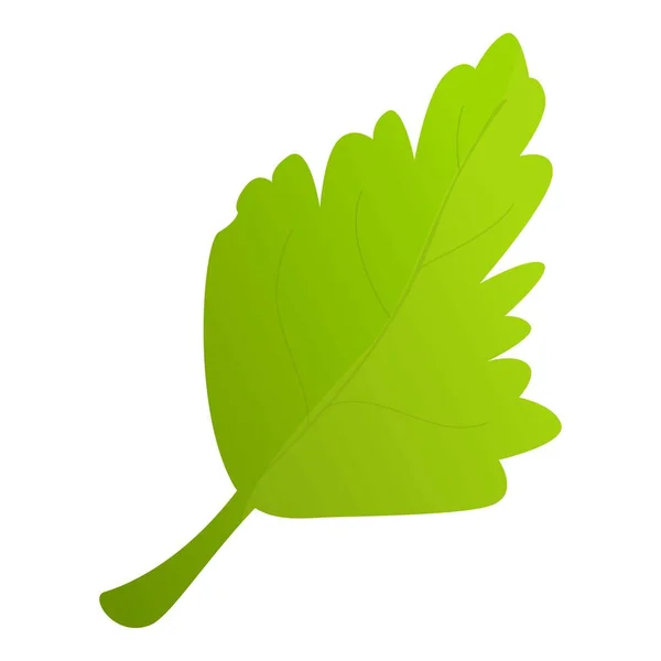烹调欧芹图标动画矢量 植物叶子 — 图库矢量图片