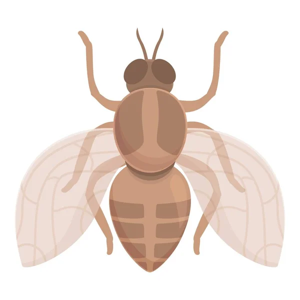 Ζώο Tsetse Μύγα Εικονίδιο Κινουμένων Σχεδίων Διάνυσμα Αφρικανικό Έντομο Φτερά — Διανυσματικό Αρχείο