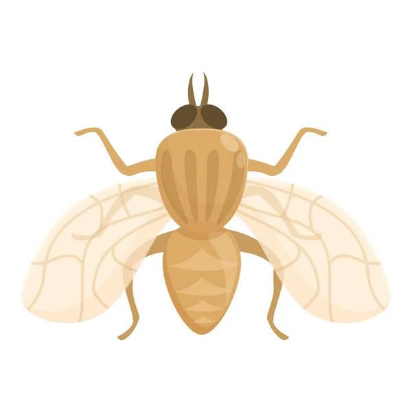 Glossina Tsetse Fly Icon Cartoon Vector Insetto Africano Grande Tik — Vettoriale Stock