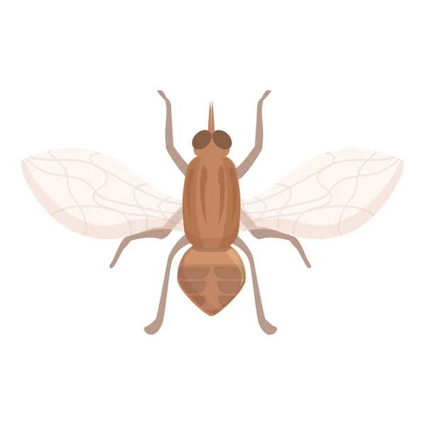 Glossinidae Tsetse Μύγα Εικονίδιο Κινουμένων Σχεδίων Διάνυσμα Κουνούπι Εντόμων Σπίτι — Διανυσματικό Αρχείο