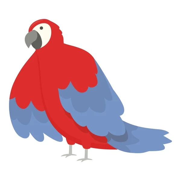 Genre Zoo Macaw Icône Dessin Animé Vecteur Oiseau Tropical Plume — Image vectorielle