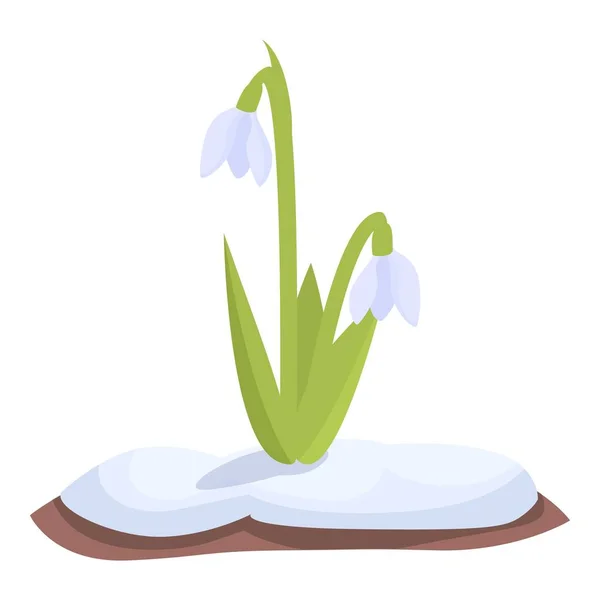 Весенний Цветочный Вектор Травяной Цветок Флора Летом — стоковый вектор