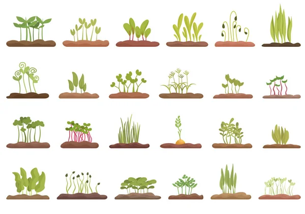Growing Microgreens Icons Set Cartoon Vector Plant Pea Beet Seed — Stock Vector