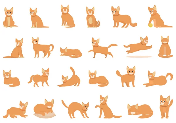 Abisyńskie Ikony Kotów Ustawiły Wektor Kreskówek Zwierzątko Twarz Natury — Wektor stockowy