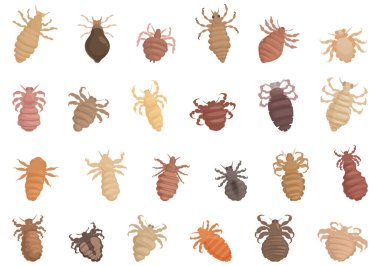 Lice icons set cartoon vector. Nature parasite. Insect head clipart