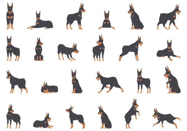 Doberman Pinscher Icone Impostare Vettore Cartone Animato Animale Arrabbiato Testa — Vettoriale Stock