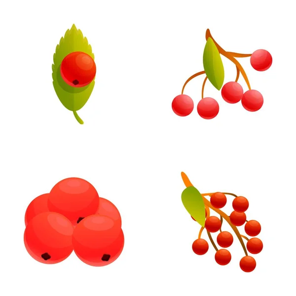 stock vector Viburnum icons set cartoon vector. Red ripe viburnum bunch. Nature, environment