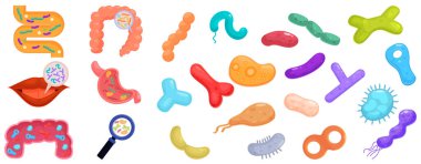 Lactobacilli icons set vector. A collection of cartoonish drawings of various body parts and germs. Scene is lighthearted and playful, with the various shapes and colors of the drawings creating a clipart