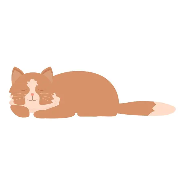 Stock vector Cute brown and white cat is sleeping peacefully on a white background