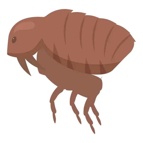 stock vector Flea is jumping, spreading disease, biting skin, and acting as a parasitic insect