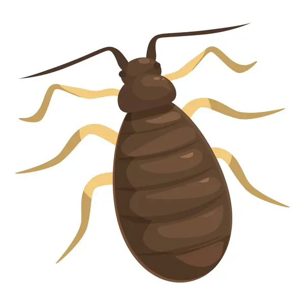 stock vector Brown bed bug on a clean background, showing its antennae and legs