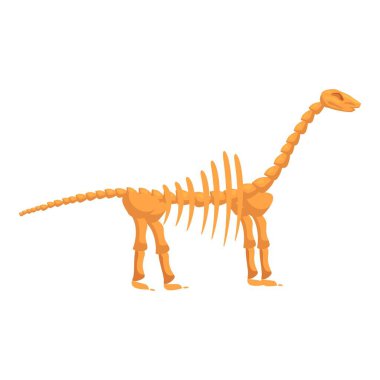 Brachiosaurus iskeleti yerde duruyor, paleontoloji ve arkeoloji kavramı