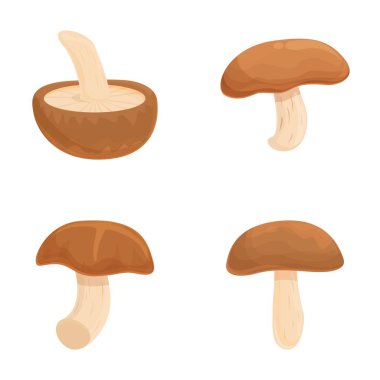 Asian mushroom icons set cartoon vector. Asian shiitake mushroom or fungi. Autumn food clipart