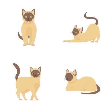 Set of cute siamese cats in different poses, perfect for petrelated designs clipart