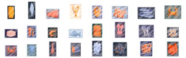 Frozen seafood icons set. Different types of fresh seafood, including fish, crustaceans, and mollusks, are neatly packaged and ready for sale at a supermarket or fish market clipart