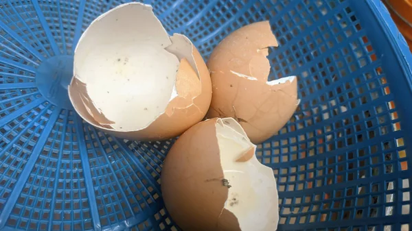 stock image egg in a cardboard box