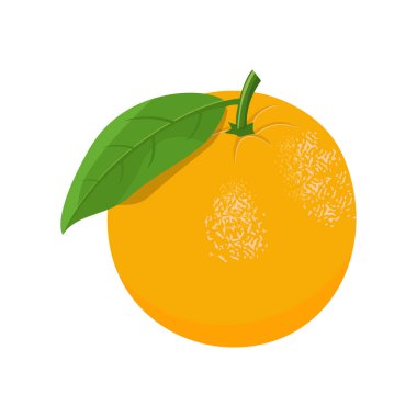 Turuncu Meyve Vektörü Görüntü ve Görüntü