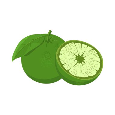 Turuncu Meyve Vektörü Görüntü ve Görüntü