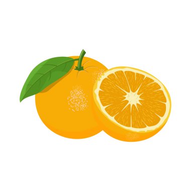 Turuncu Meyve Vektörü Görüntü ve Görüntü