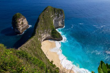 İstanbul 'da uyuyan kedi