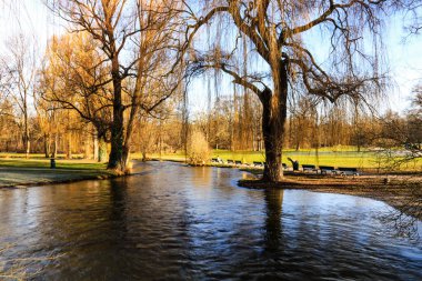 Quiet day of January in english garden in munich, germany clipart