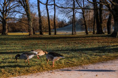 The Soul of the City Salzburgs River in Motion in Austria clipart