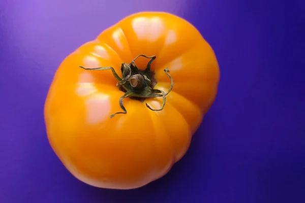 Reife Gelbe Bio Tomate Auf Violettem Hintergrund Blick Von Oben — Stockfoto
