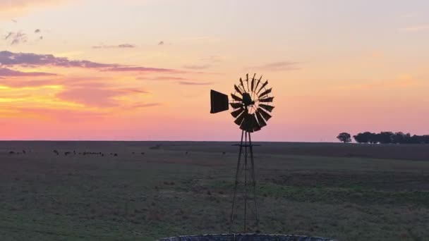 南アフリカの風車の周りに撮影された右側の円への遅い左は 輝かしい夕日を明らかにします — ストック動画