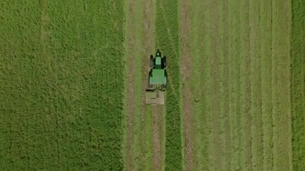 Traktor Sekající Pole Trávy Farmě Jižní Africe Letní Sezóně Stoupající — Stock video