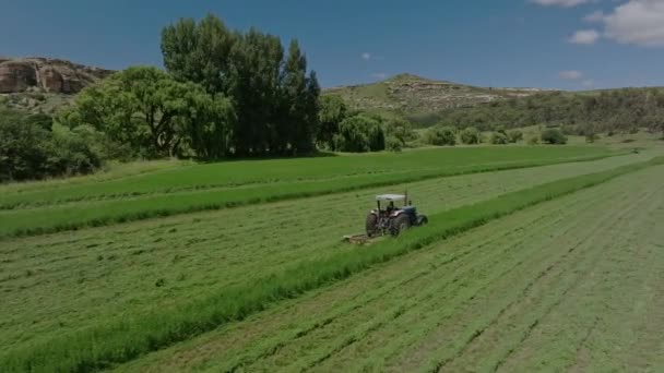 Ένα Τρακτέρ Κουρεύει Ένα Χωράφι Γρασίδι Ένα Αγρόκτημα Στη Νότια — Αρχείο Βίντεο