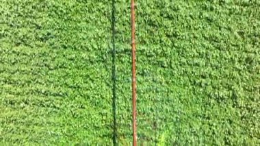 Bir ağaç otlağını suyla sulayan bir dönüş sahnesi. Su spreyindeki gökkuşağı klipten aralıklı olarak görülebilir. Bir İHA 'dan yüksek irtifa atışı