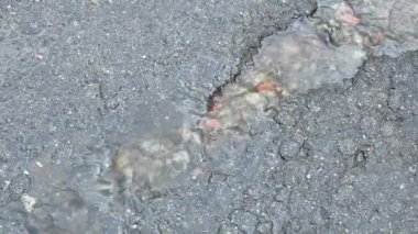 Yol kıştan sonra yok oldu. Yolda su akar, yağmurlu bir günde. Yağmur üstüne sokak
