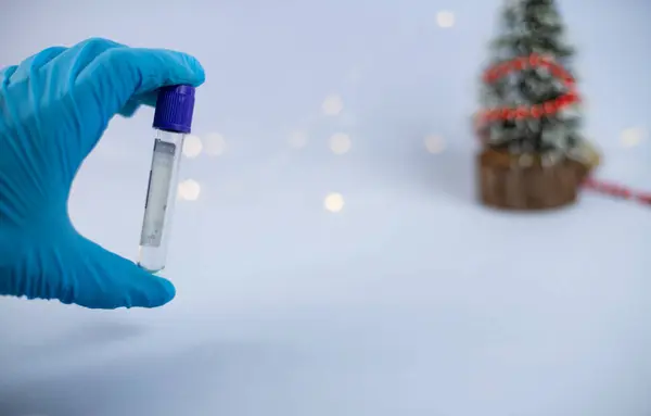 Vacuum blood collection tube with sodium citrate in blue gloves for laboratory. Test tube with blurred christmas tree and lights in background