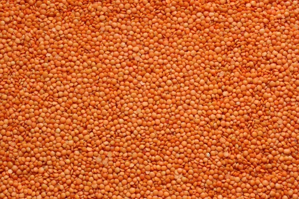 Surface of lentil grains fixed with a close-up photo shooting. View from above