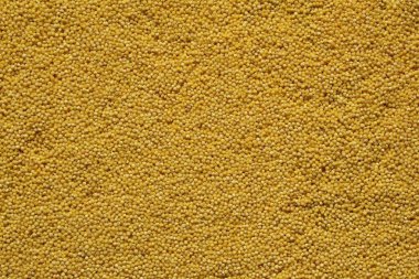 Millet yüzeyi yakın çekim ile sabitlendi. Yukarıdan görüntüle.