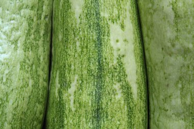 Zucchini fixed with a close-up photo shooting. View from above. clipart