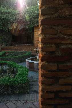 Güneş Işığı Yansımaları: Değişen Işık Altında Berberi Bahçeleri