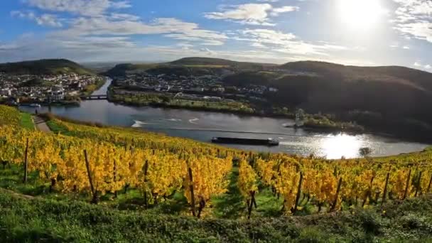 Vignobles Dans Les Collines Près Ville Rudesheim Rhein Hesse Allemagne — Video