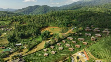 Ban Rak Thai köyünün tepesindeki yeşil çay çiftliğindeki havacılık merkezi, Çin tarzı otel ve tatil beldesi, ünlü turistik merkezler Tayland 'ın başkenti Mae Hong Son' un bir başka simgesidir. Seyahat doğası ve tatil kavramı