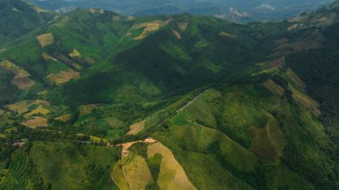 arazi manzarası dağ yeşil vadi ve tarımsal plantasyon için soyut arkaplan, hava görüntüsü dron fotoğraf